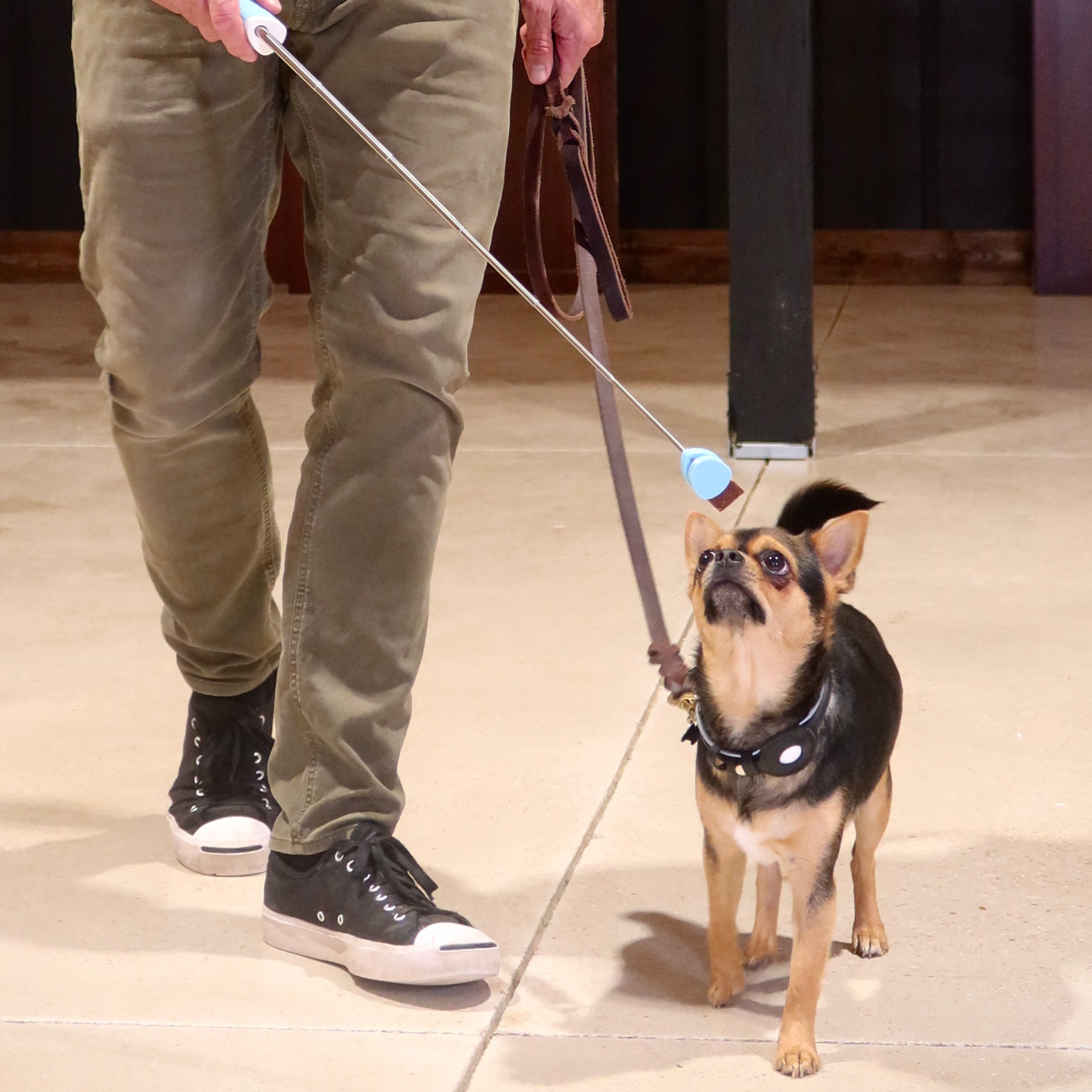 Lure Stick™ in use on a walk