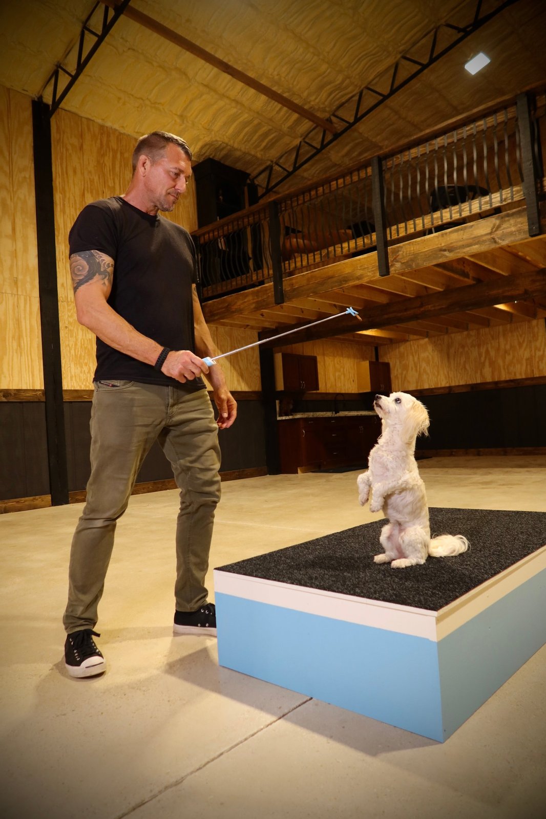 Brandon McMillan training a dog with the Lure Stick™