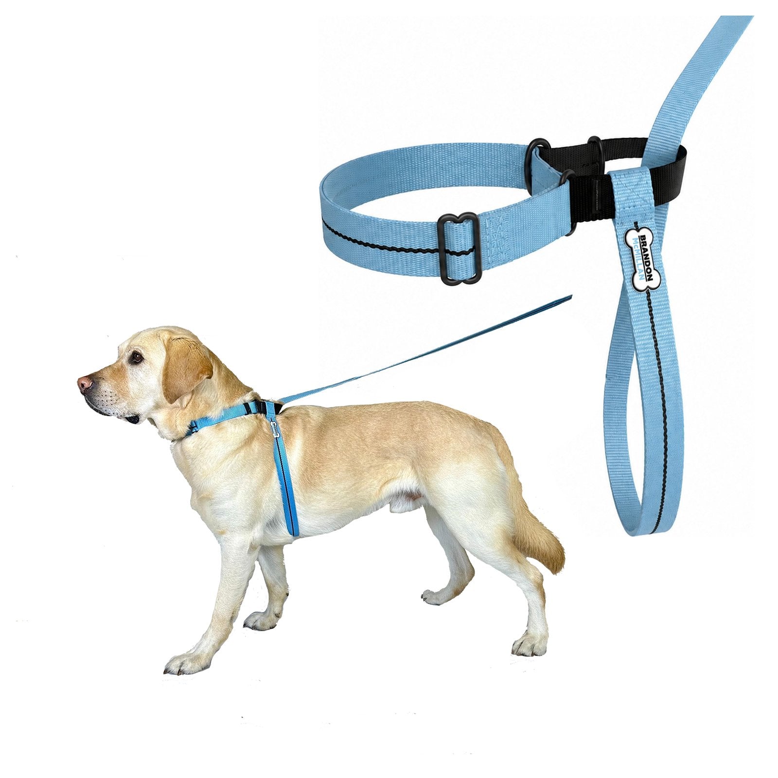 Pull-Stopper Pro™ on a Labrador